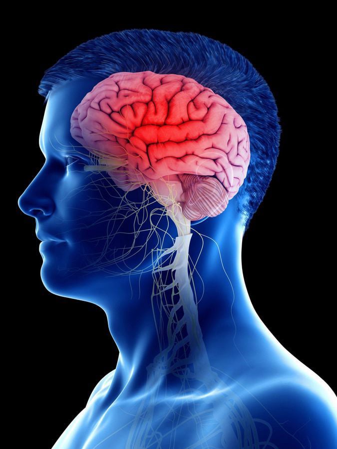 Brain health